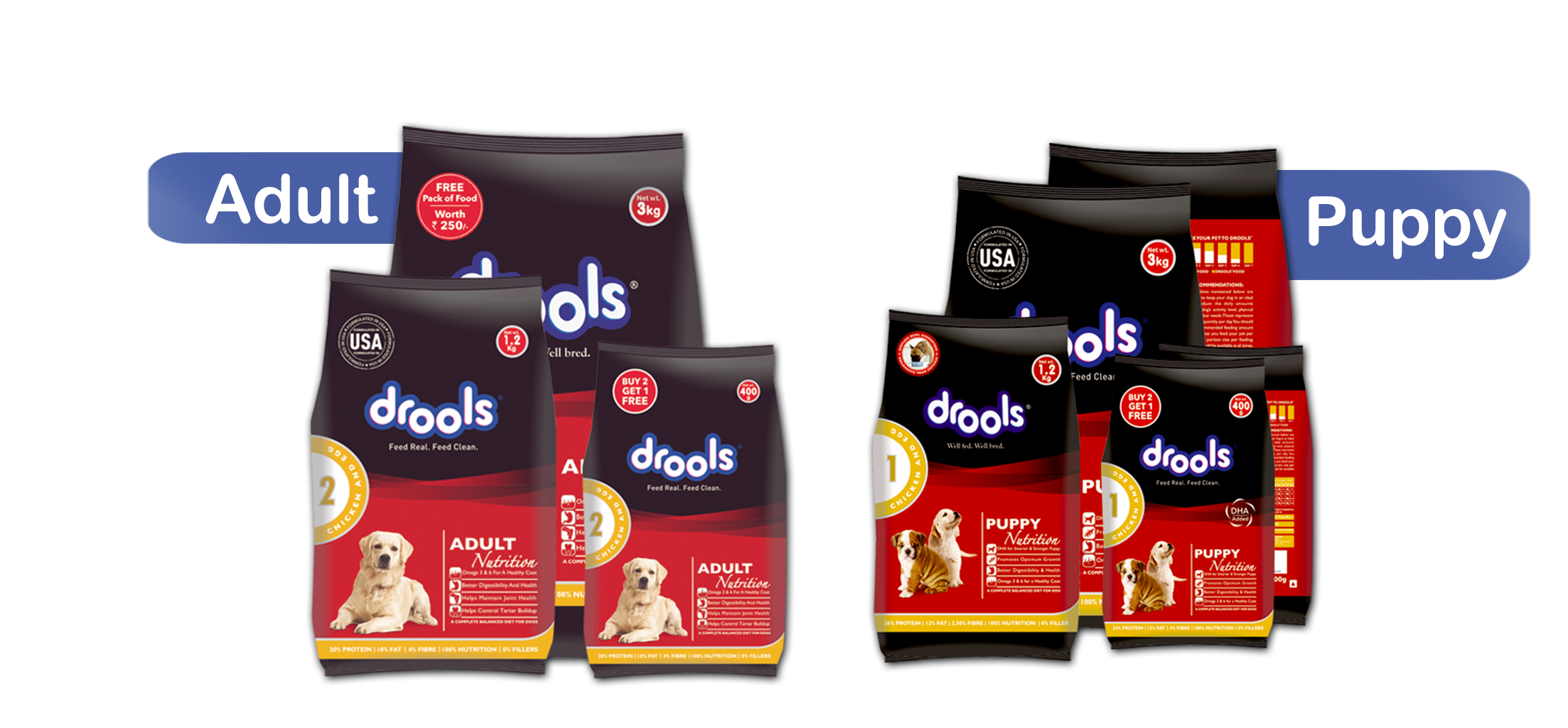 Daily Nutrition Chicken And Egg